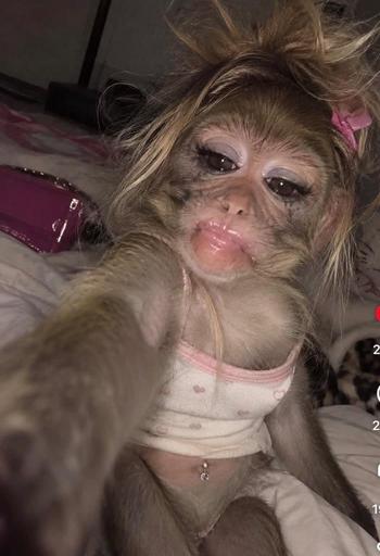 LUST, 26  female escort, Kansas City